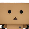 Revoltech Danboard Mini Normal Version (Completed)