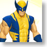 Wolverine - Hasbro Action Figure: 12 Inch / Titan - Wolverine (Completed)