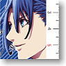 Uta no Prince-sama: Maji Love 2000% Ruler Hijirikawa Masato (Anime Toy)