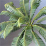 Coconut palm II (Plastic model)