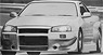 R34 GT-R 1999 Super Taikyu White ※レジンモデル (ミニカー)