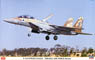 F-15I Strike Eagle `IAF Raam` (Plastic model)