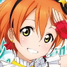 [Love Live!] Magnet Sticker [Hoshizora Rin] (Anime Toy)