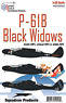[1/32] Decal for P-61B Black Widow 414/418/422th NFS (Decal)