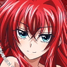 High School DxD New Cleaner Strap with Charm Rias Gremory (Anime Toy)