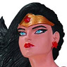 Art of Wonder Woman/ Wonder Woman Statue (Completed)