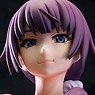 Senjogahara Hitagi -Nisemonogatari- (PVC Figure)