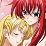 High School DxD New Clear File 2 pieces (Anime Toy)