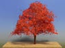 `Tree of N` #7 Autumn Maple tree - Red colors (1pcs.) (Model Train)