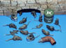 Rats (Plastic model)