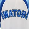 Free! Iwatobi Swimming Club Jersey L (Anime Toy)