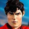 SUPER ALLOY/ DC Comics The New 52: Superman 1/6 Collectable Figure Limited Edition (Completed)