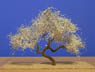 `Tree of N` #11 White plum Tree (1pcs.) (Model Train)