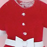 Santa Claus Set 2013 (Red) (Fashion Doll)