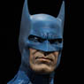 DC Comics - 1/6 Scale Fully Poseable Figure: Sideshow Sixth Scale - Batman (Completed)