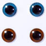 eyechips Pullip (Turquoise & Chocolate brown) (Fashion Doll)