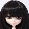 Semi Long (Natural Black) (Fashion Doll)