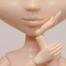 Face&Body/ Pullip (Natural Skin) (Fashion Doll)