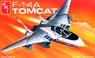Grumman F-14A Tomcat (Plastic model)