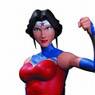 Justice League War / Wonder Woman Action Figure (Completed)