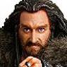 The Hobbit: The Desolation of Smaug Thorin Oakenshield (Pre-Colored Kit) (Plastic model)