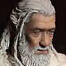 1/6 Collectible Action Figure Gandalf The White (Completed)
