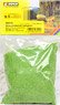 08410 Light green Powder Bag Case (Model Train)