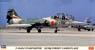 F-104DJ Star Fighter `207SQ Forest Camouflage` (Plastic model)