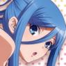 Arpeggio of Blue Steel -Ars Nova- Takao Swim Wear Water Resistant Poster (Anime Toy)