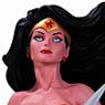 Art of Wonder Woman/ Adam Hughes Wonder Woman Statue (Completed)