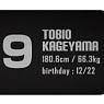 Haikyu!! Dog Tag Kageyama Tobio (Anime Toy)