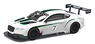 ベントレー コンチネンタル GT3 Launch Car (ミニカー)