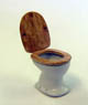 Western Style Toilet (Plastic model)