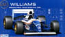 Williams FW16 Brazil GP w/Driver figure (Model Car)