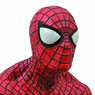 Amazing Spider Man 2/ Spider Man Bust (Completed)