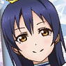 Lovelive! Color Pass Case Ver.3 Sonoda Umi (Anime Toy)