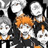 Haikyu!! Karasuno High School Volleyball Club Full Member Mug Cup (Anime Toy)