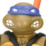 Teenage Mutant Ninja Turtles/ Classic Collection Action Figure: Donatello (Completed)