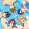 Free! Lunch Box 2-Stage Slim (Swimming Pool) (Anime Toy)