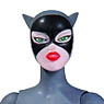 Batman Animated Series/ Catwoman Action Figure (Completed)