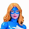 THE New 52: Justice League of America/ Star Girl Action Figure (Completed)