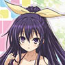 Date A Live II Clear File (Anime Toy)