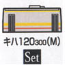 J.R. Diesel Train Type KIHA120 `Tsuyama Line` (2-Car Set) (Model Train)