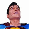 Superman Man of Steel/ Superman Statue: Gary Frank (Completed)