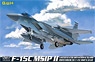 アメリカ空軍 F-15C MSIP II (プラモデル)