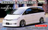 Toyota Estima Fabulous Half Type w/Window Frame Masking (Model Car)