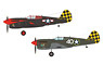 P-40F/L Warhawk `Checkertails` (Plastic model)