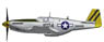 1/48 P-51Bマスタング `第530戦闘飛行隊` (完成品飛行機)