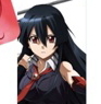 Akame ga Kill! Strap with Mobile Cleaner Akame (Anime Toy)