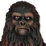 Planet Of The Apes/ Gorilla Soldier 8 Inch Action Doll (Completed)
